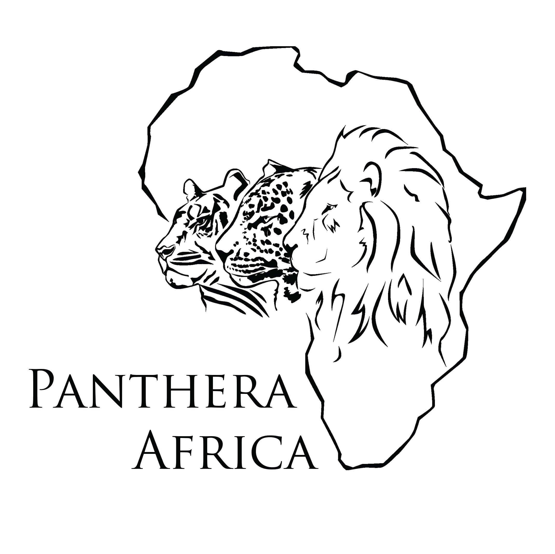 Panthera Africa Big Cat Collab
