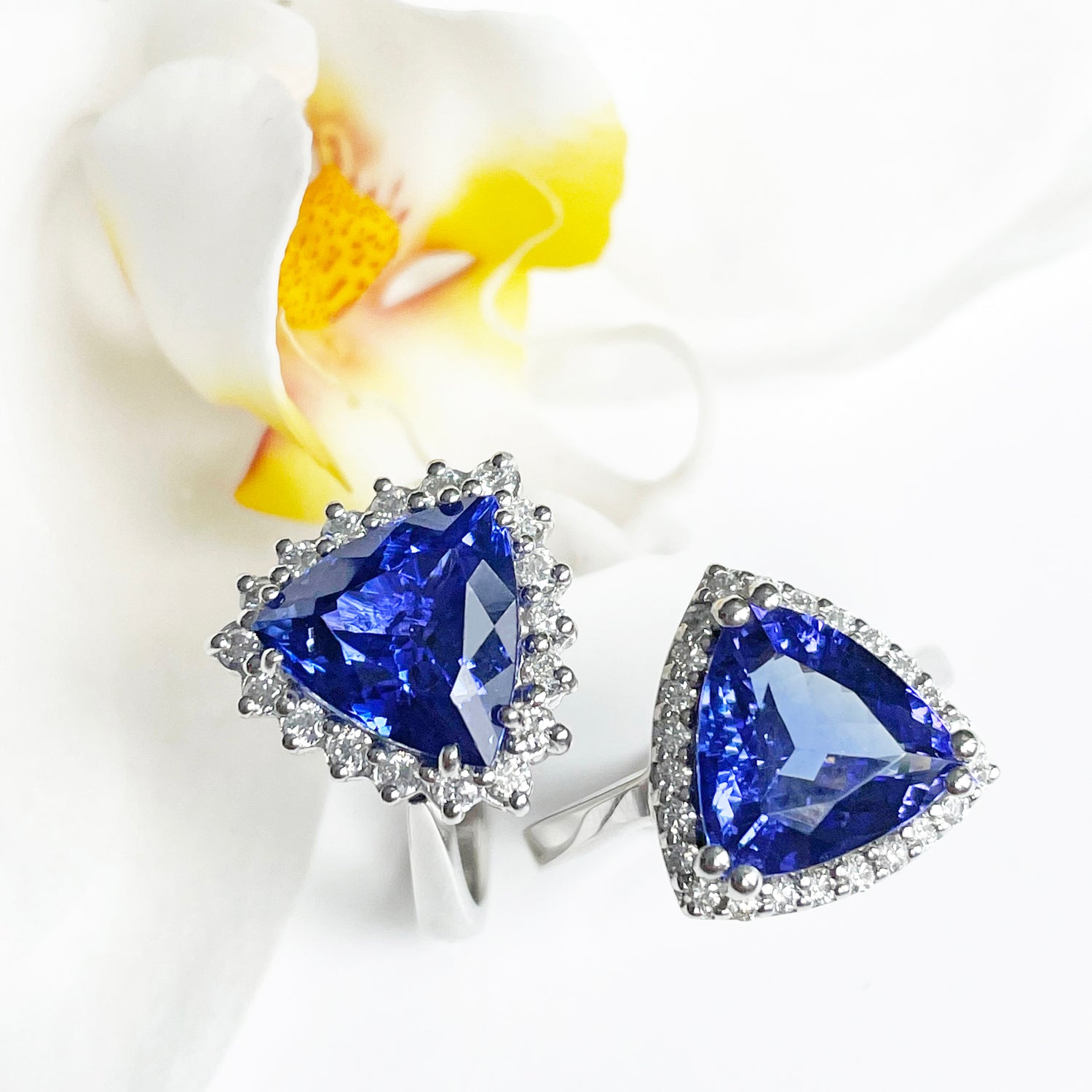 Luxury Tanzanite Collection