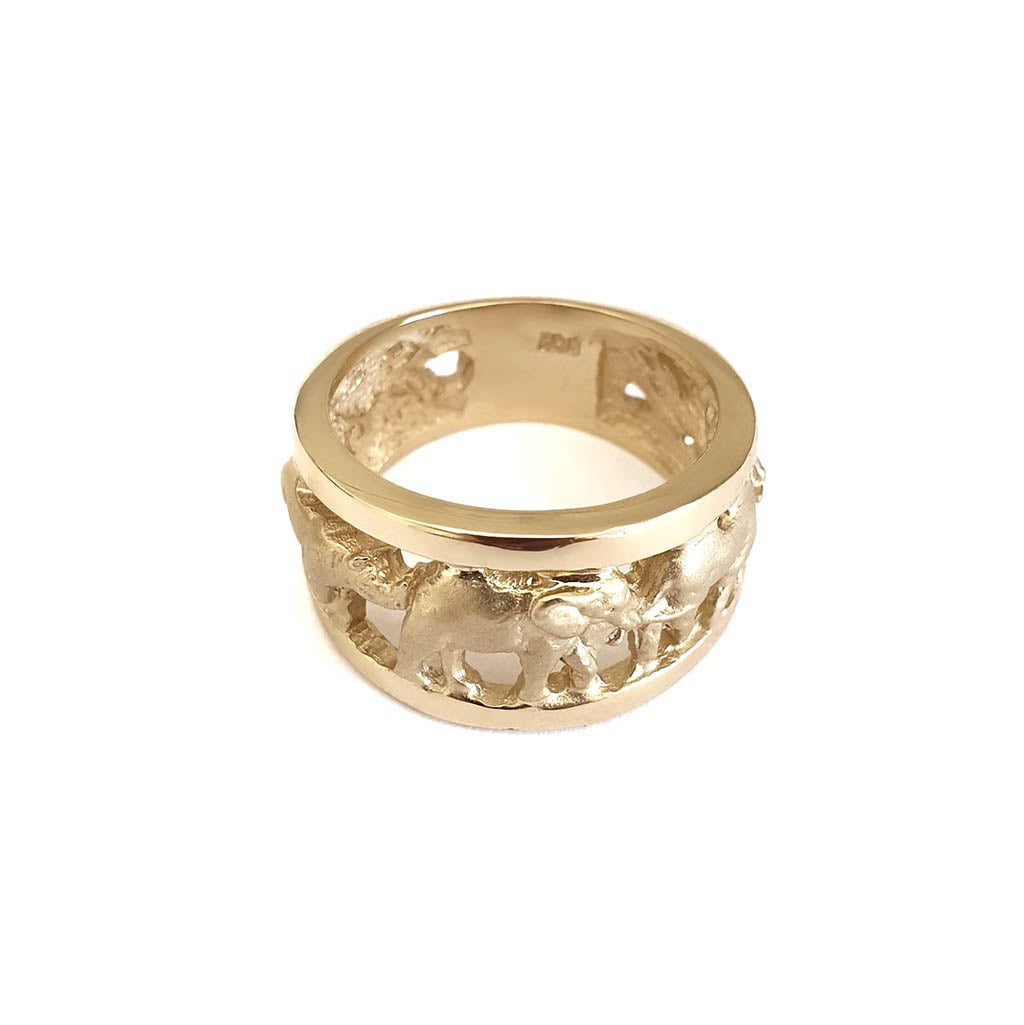 Big 5 Relief Ring with Yellow Gold Borders