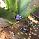 Filigree Round Tanzanite and White Gold Studs