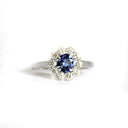 Botanical Tanzanite and Beaded Set Diamond Halo White Gold Ring