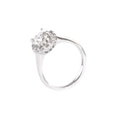 Celestial Queen White Gold Ring