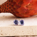 Charming Four Claw Tanzanite White Gold Studs