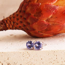 Charming Four Claw Tanzanite White Gold Studs