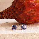 Charming Four Claw Tanzanite White Gold Studs