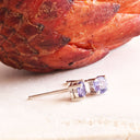Classic Four Claw Tanzanite White Gold Studs