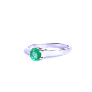 Elevated Caressing Gallery Emerald White Gold Ring