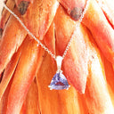 Elegant Double Claw Trilliant Cut Tanzanite Pendant