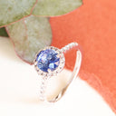 Sapphire and Diamond White Gold Ring