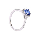 Elevated Blue Sapphire and Diamond Shoulder and Halo White Gold Ring