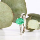 Elevated Four Claw Emerald Ring With Diamond Shoulders In White Gold