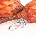 Exquisite Double Diamond Halo Trilliant Tanzanite Filigree Detail White Gold Ring