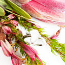 Solid Silver Africa Map Ring