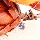 Petite Bale Round Cut Four Claw Tanzanite White Gold Pendant