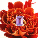 Regal Elevated Emerald Cut Tanzanite Solitaire Yellow Gold Ring