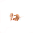 Rose Gold Solid Africa Map Studs With Diamond Highlight