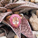 Show Stopping Morganite and Double Pink Sapphire Halo Ring