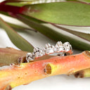 Silver paw print ring