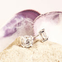 White Diamond White Gold Studs