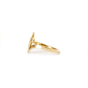 Split Shank Yellow Gold Sandblasted Africa Map Ring