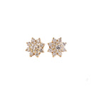 White Diamond yellow gold earrings