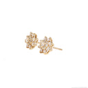 White Diamond yellow gold earrings