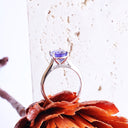 The Celestial Bridge Tanzanite And Diamond Ring In White Gold