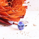 The Celestial Bridge Tanzanite And Diamond Ring In White Gold