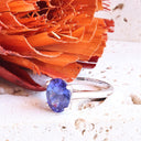 The Celestial Bridge Tanzanite And Diamond Ring In White Gold