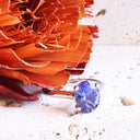 The Celestial Bridge Tanzanite And Diamond Ring In White Gold