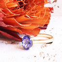 The Celestial Bridge Tanzanite And Diamond Ring In Yellow Gold
