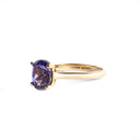 The Celestial Bridge Tanzanite And Diamond Ring In Yellow Gold