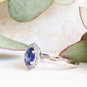 Timeless Blue Sapphire and Diamond Halo Filigree Detail White Gold Ring