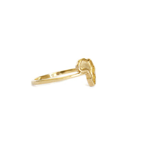 Yellow Gold Sandblasted Africa Map Ring with Striking Smooth Gold Border and Band