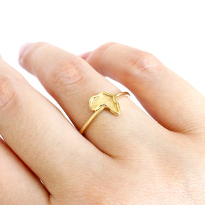 Yellow Gold Sandblasted Africa Map Ring with Striking Smooth Gold Border and Band