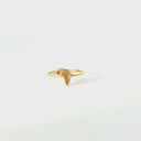 Yellow Gold Sandblasted Africa Map Ring with Striking Smooth Gold Border and Band