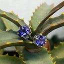 6 Claw Tanzanite Studs