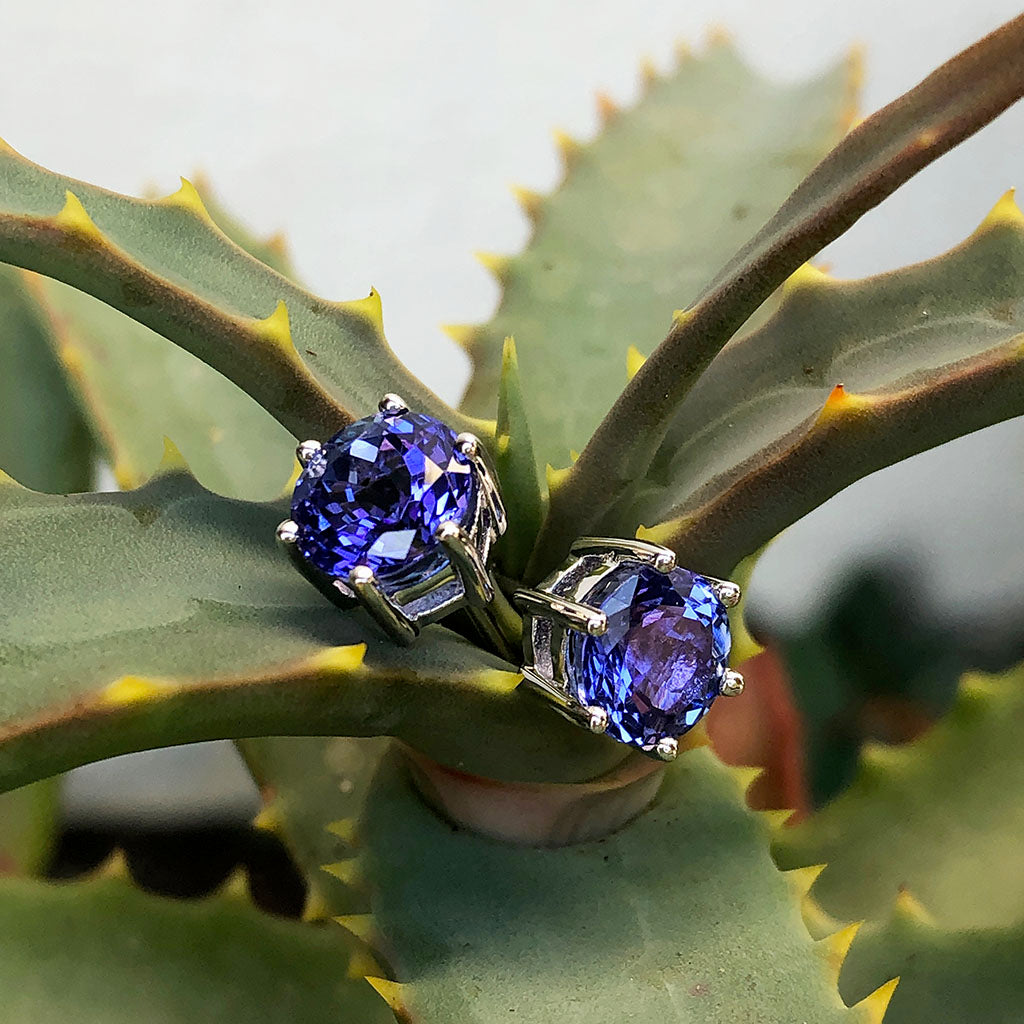 6 Claw Tanzanite Studs