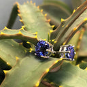 6 Claw Tanzanite Studs