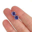 6 Claw Tanzanite Studs