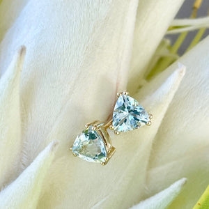 Aquamarine Double Claw Yellow Gold Trilliant Cut Studs