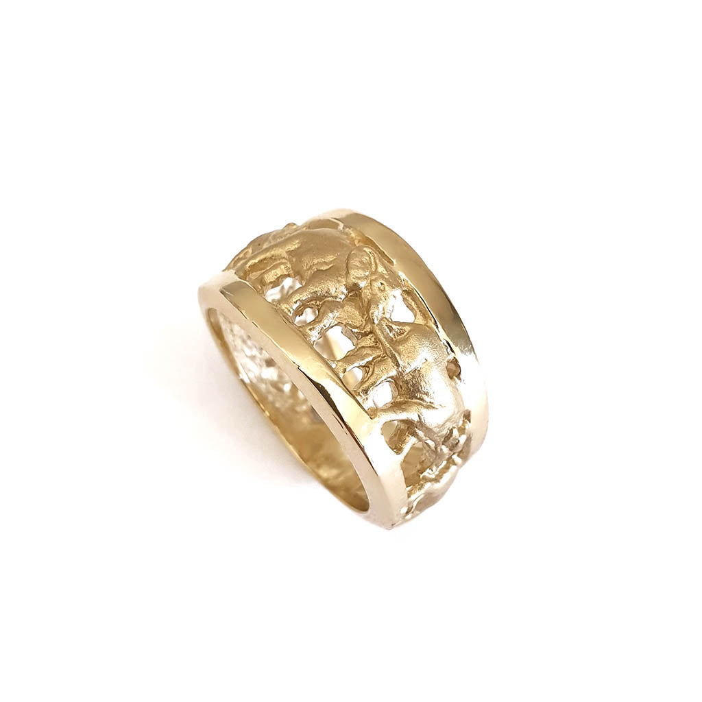 Big 5 Relief Ring with Yellow Gold Borders
