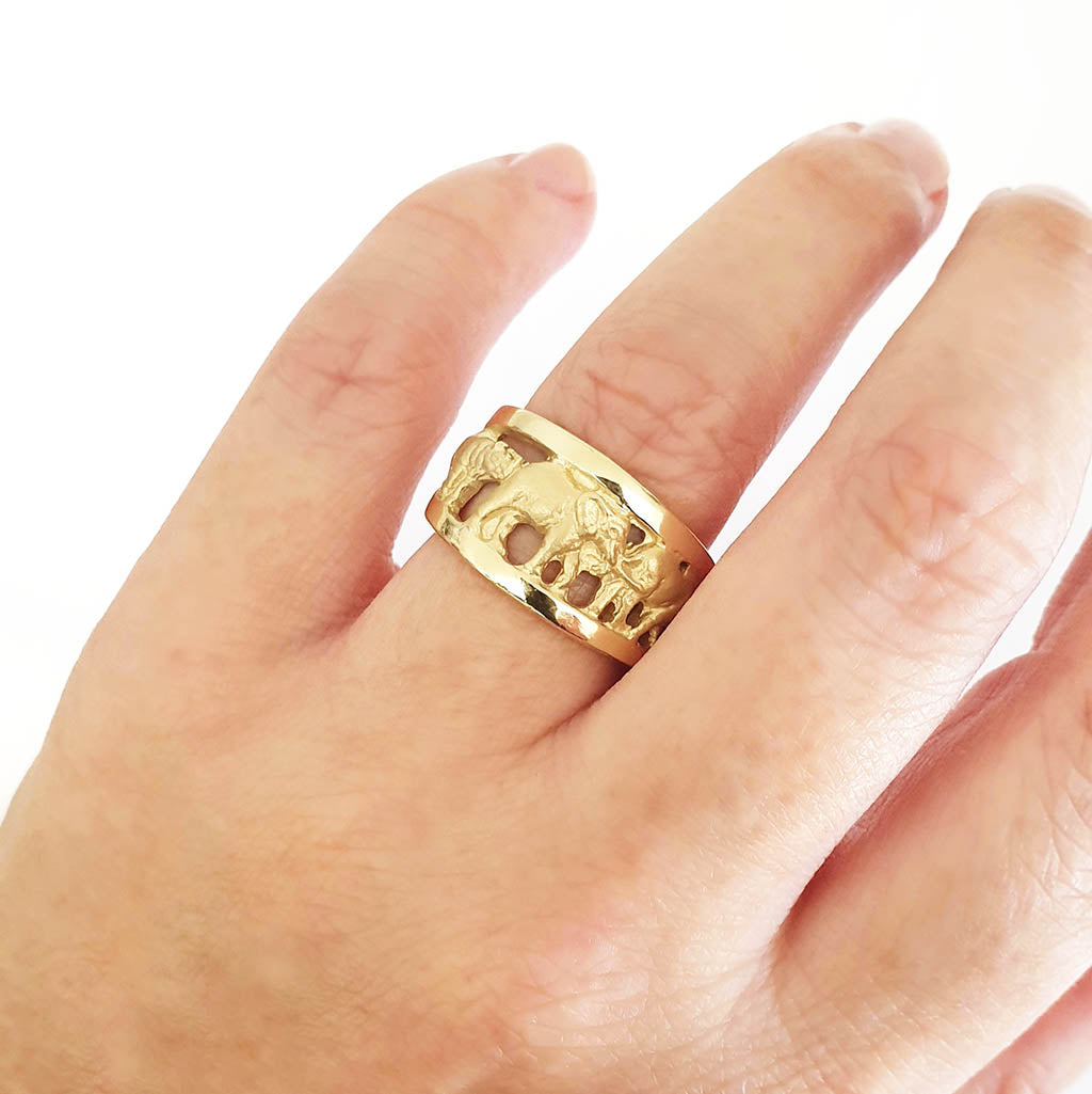 Big 5 Relief Ring with Yellow Gold Borders