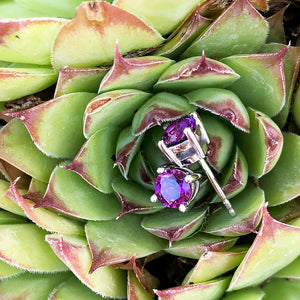 Classic Four Claw Grape Garnet Studs