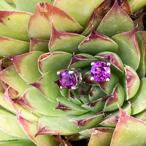 Classic Four Claw Grape Garnet Studs