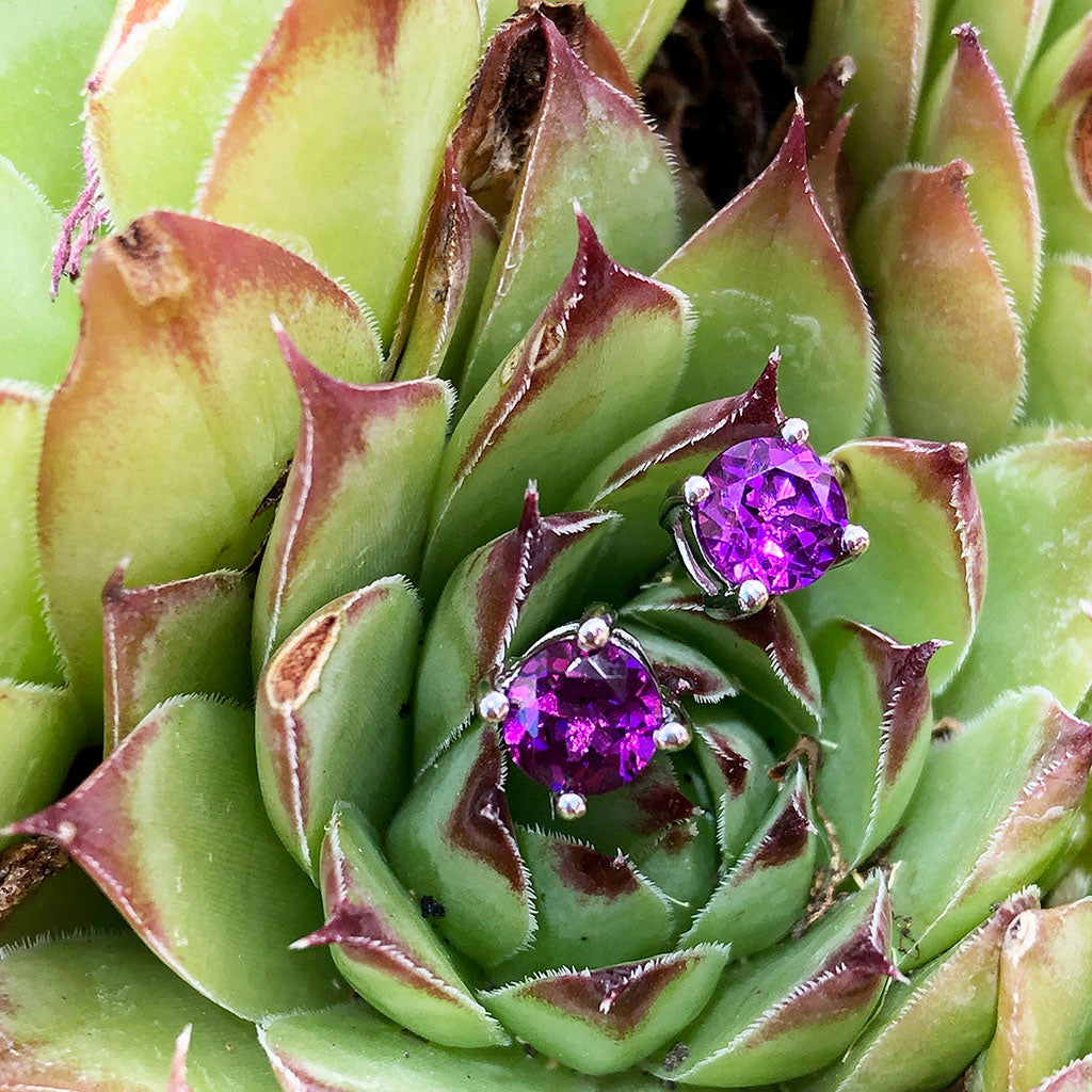 Classic Four Claw Grape Garnet Studs