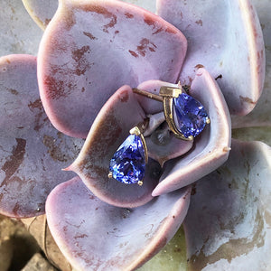 Classic Solitaire Pear Cut Tanzanite Yellow Gold Studs