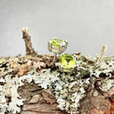 Cushion Cut Double Claw Peridot Studs