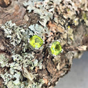 Cushion Cut Double Claw Peridot Studs