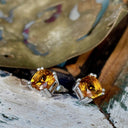 Deep Orange Citrine Double Claw Cushion Cut Studs